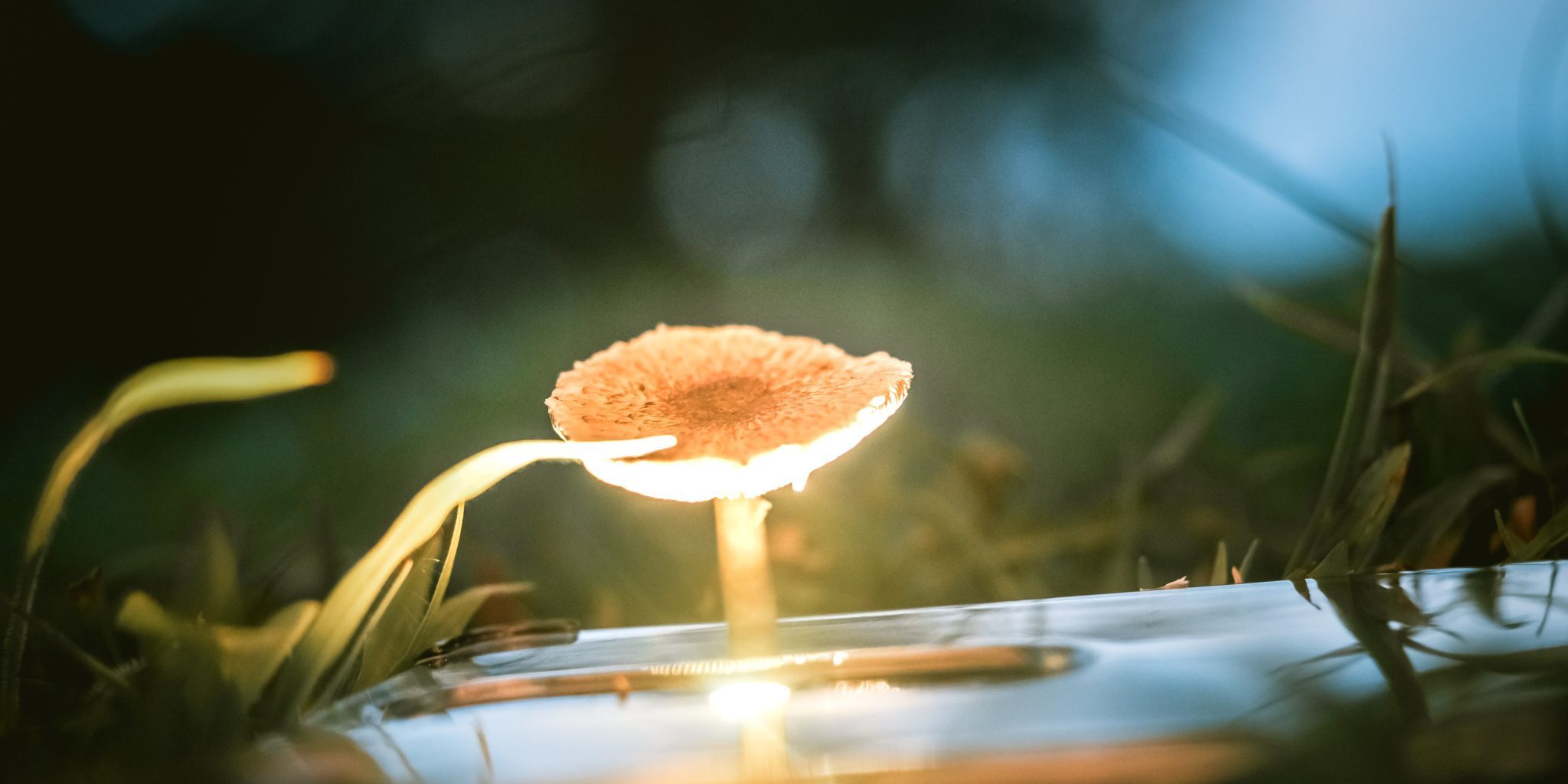 shubham-rana-ps2SYLdKPWw-unsplash