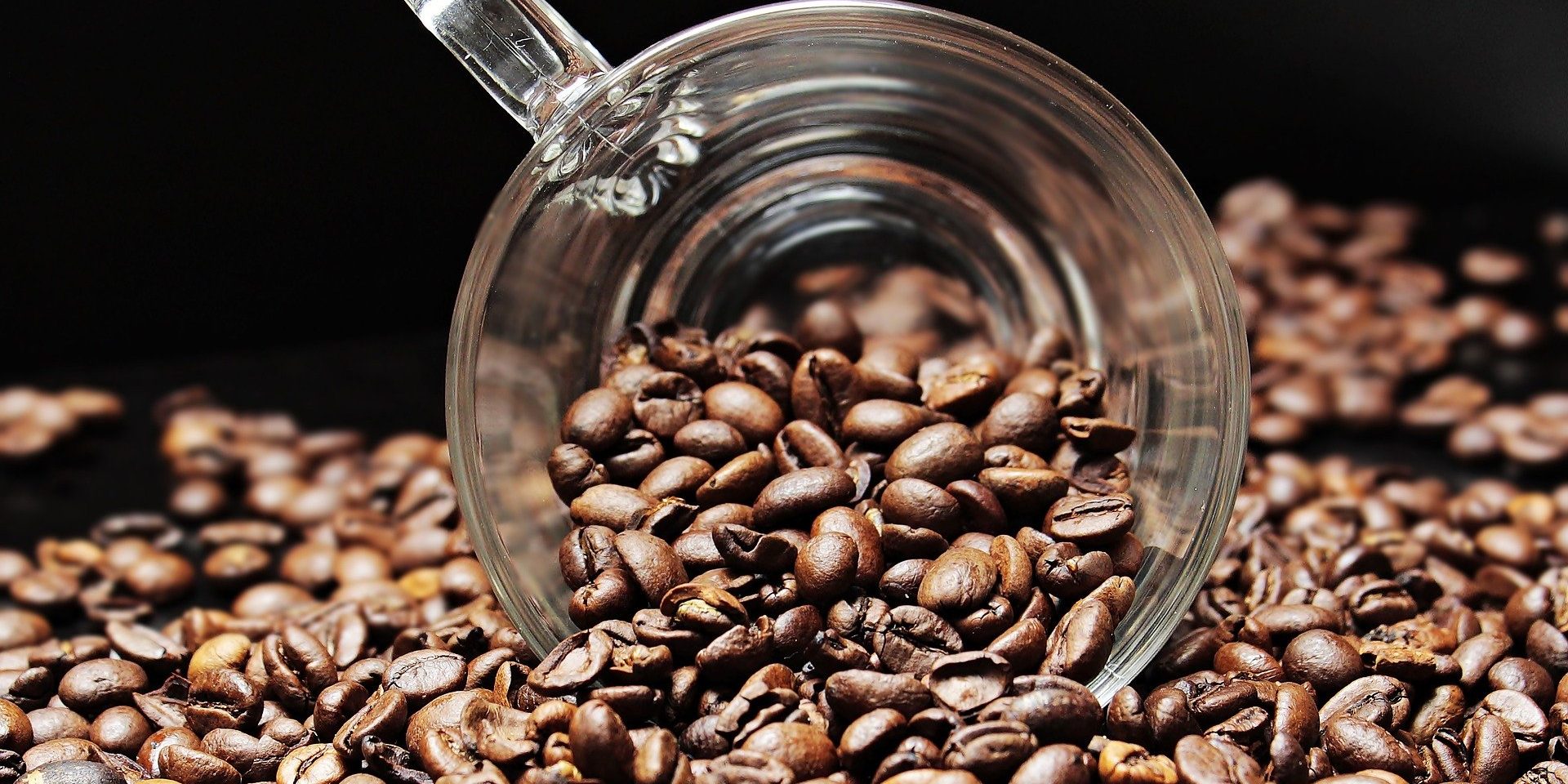 koffiebonenmaler koffiebonenmaler