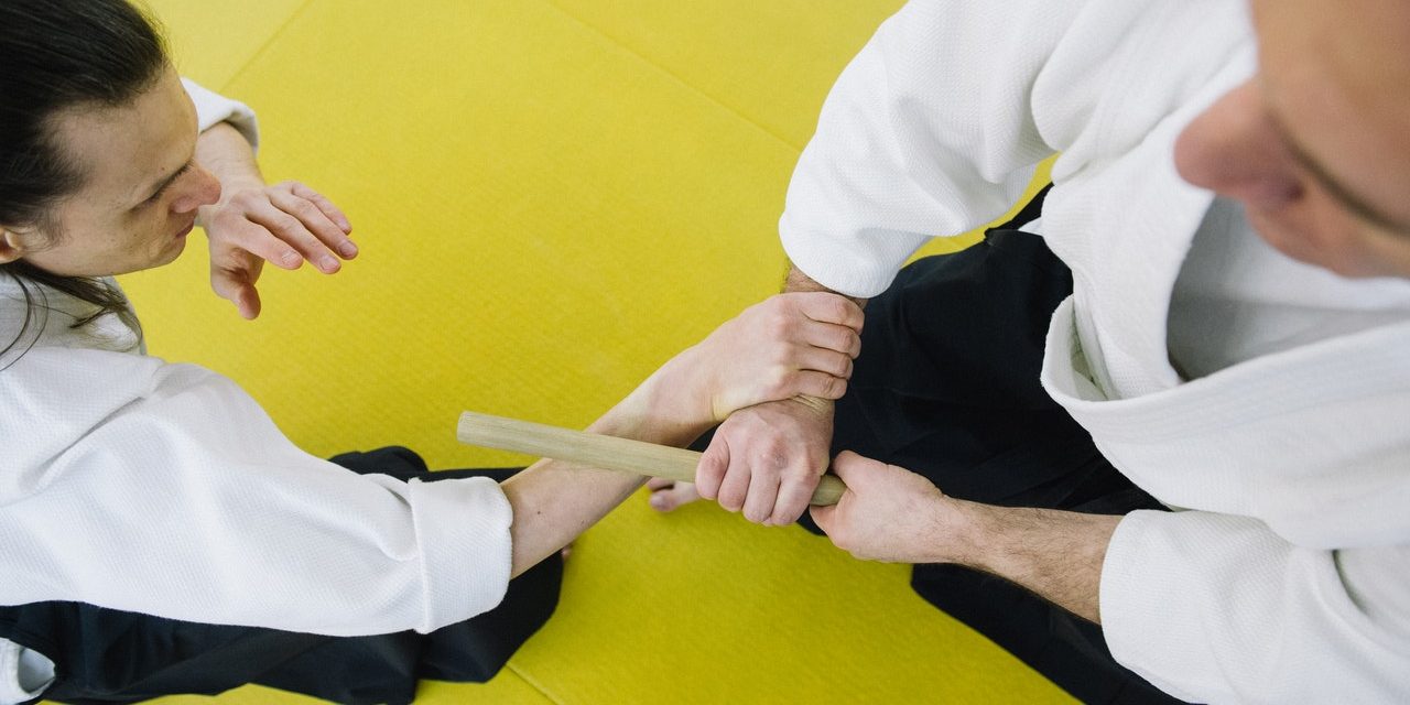 Aikido Den Haag