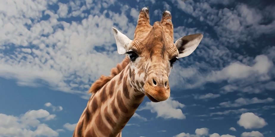 computerbril kopen computerbril-kopen