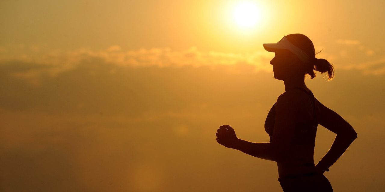 sportschool den bosch fit zomer