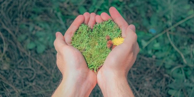 milieu inspecteur opleiding